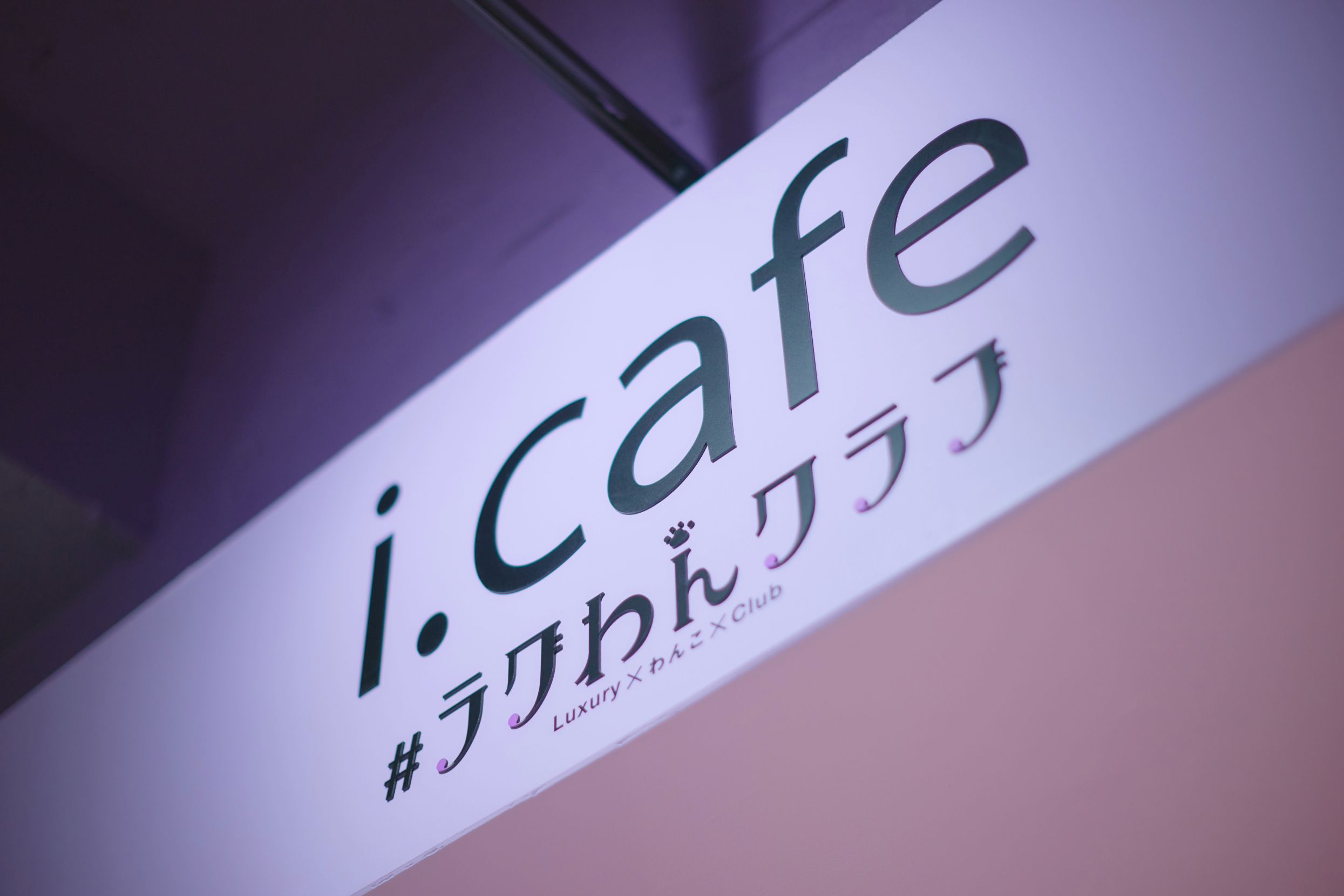 ロゴデザインのイメージ画像
